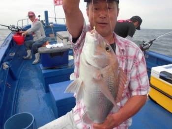 鯛紅丸 釣果