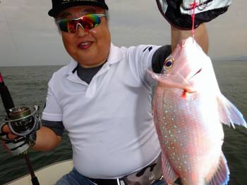 鯛紅丸 釣果
