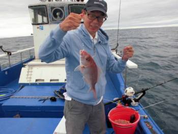 鯛紅丸 釣果