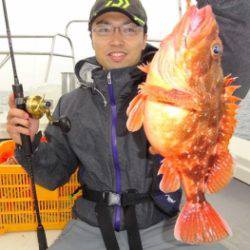 鯛紅丸 釣果