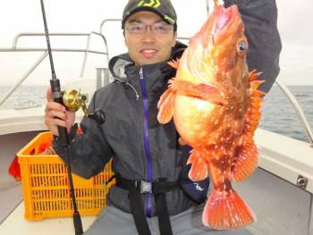 鯛紅丸 釣果
