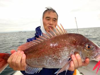 鯛紅丸 釣果