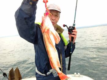 鯛紅丸 釣果