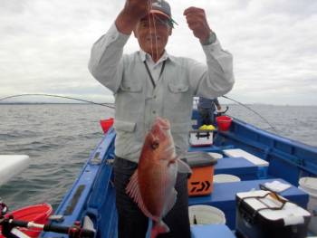 鯛紅丸 釣果