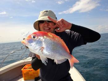 鯛紅丸 釣果
