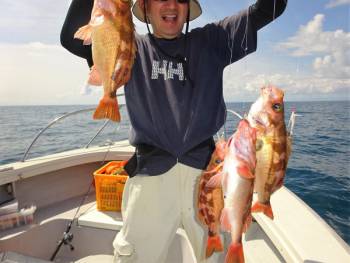 鯛紅丸 釣果