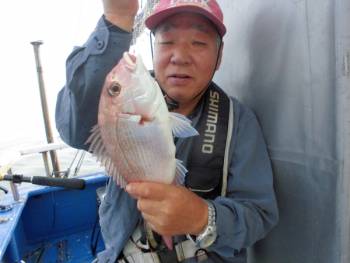 鯛紅丸 釣果