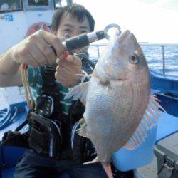 鯛紅丸 釣果