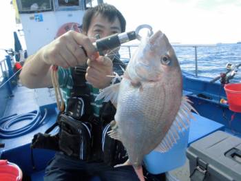 鯛紅丸 釣果
