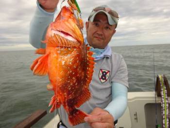 鯛紅丸 釣果