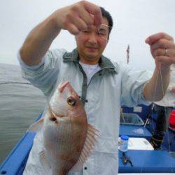 鯛紅丸 釣果