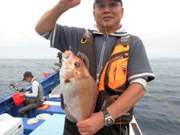 鯛紅丸 釣果