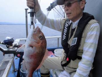 鯛紅丸 釣果