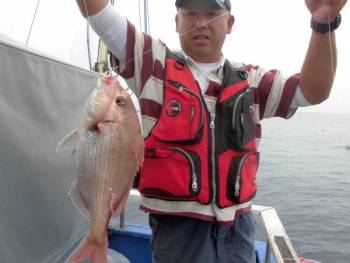 鯛紅丸 釣果