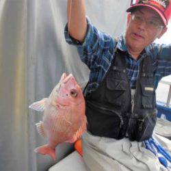 鯛紅丸 釣果