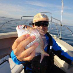 鯛紅丸 釣果