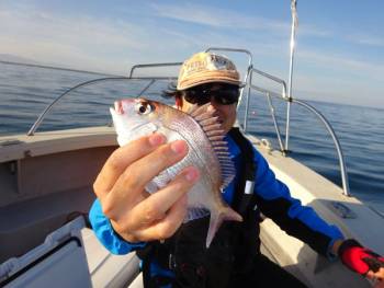 鯛紅丸 釣果