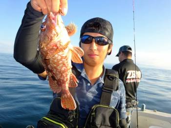 鯛紅丸 釣果