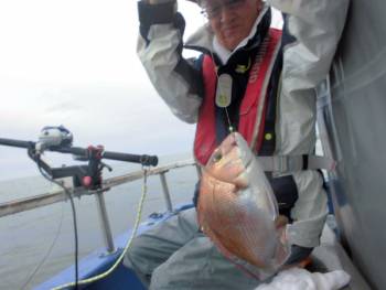 鯛紅丸 釣果