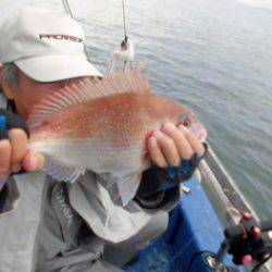 鯛紅丸 釣果