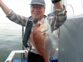 鯛紅丸 釣果