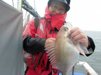 鯛紅丸 釣果