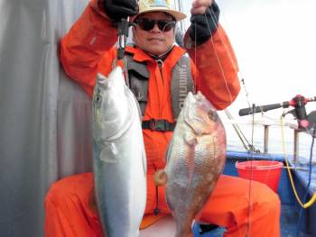 鯛紅丸 釣果