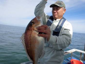 鯛紅丸 釣果