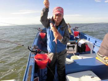 鯛紅丸 釣果