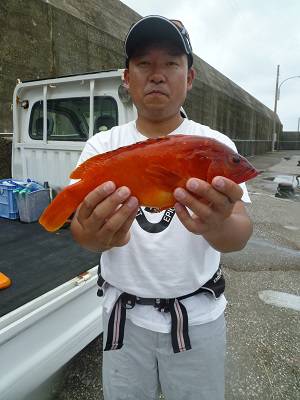 松栄丸 釣果