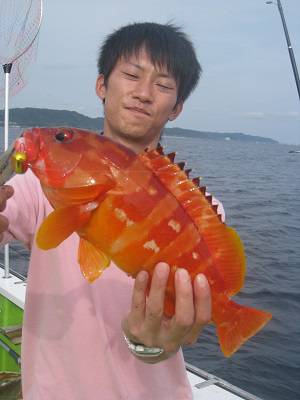 松栄丸 釣果