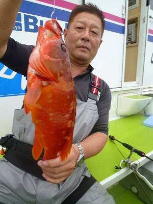 松栄丸 釣果