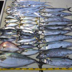 Hit Rush(ヒット ラッシュ） 釣果