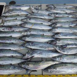 Hit Rush(ヒット ラッシュ） 釣果