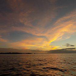 フィッシングボート空風(そらかぜ) 釣果