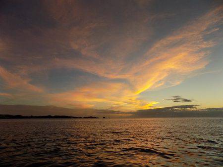 フィッシングボート空風(そらかぜ) 釣果