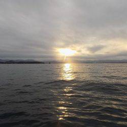 フィッシングボート空風(そらかぜ) 釣果