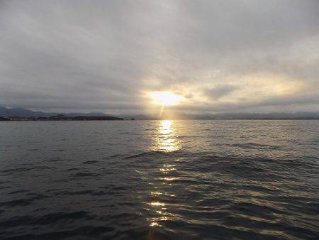 フィッシングボート空風(そらかぜ) 釣果