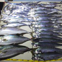 Hit Rush(ヒット ラッシュ) 釣果