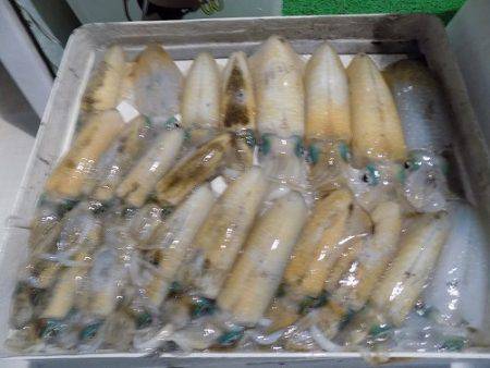 フィッシングボート空風(そらかぜ) 釣果