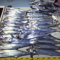 Hit Rush(ヒット ラッシュ) 釣果