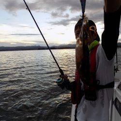 フィッシングボート空風(そらかぜ) 釣果