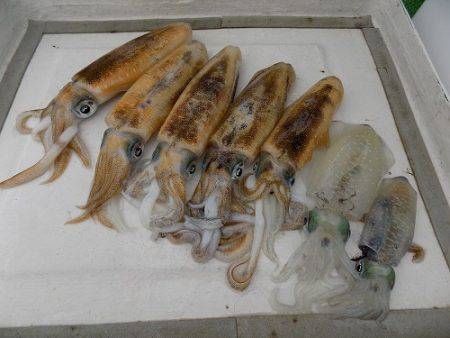 フィッシングボート空風（そらかぜ） 釣果