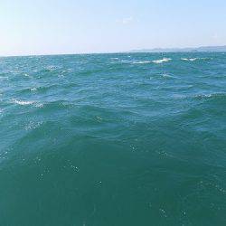 フィッシングボート空風(そらかぜ) 釣果