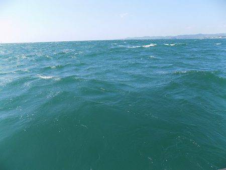 フィッシングボート空風(そらかぜ) 釣果