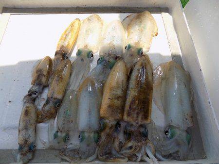 フィッシングボート空風（そらかぜ） 釣果