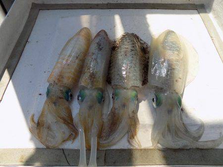 フィッシングボート空風（そらかぜ） 釣果