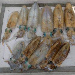 フィッシングボート空風(そらかぜ) 釣果