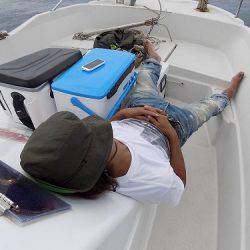 フィッシングボート空風(そらかぜ) 釣果