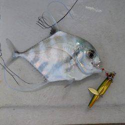 フィッシングボート空風(そらかぜ) 釣果